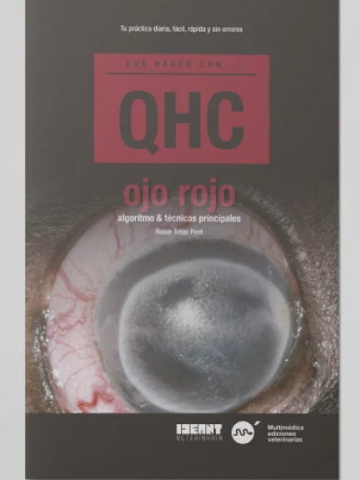 Libro: Revista Que Hacer con.. (QHC) Ojo Rojo. Algoritmo y Técnicas Principales