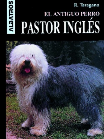 BOBTAIL (Viejo pastor inglés): precio, características y cuidados  Perros pastor  ingles, Antiguo perro pastor inglés, Razas de perros grandes