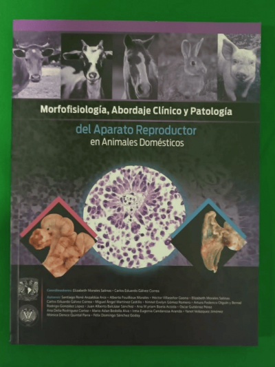 Libro: Morfofisiología, Abordaje Clínico y Patología del Aparato Reproductor en Animales Domésticos