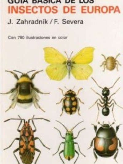 Libro: Guia basica de insectos  de europa
