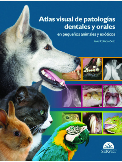 Libro: Atlas visual de patologías dentales y orales en pequeños animales y exoticos